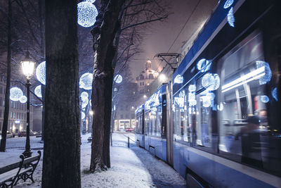 Illuminated street amidst trees in city during winter