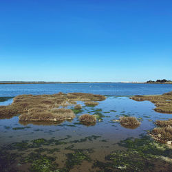 Scenic view of sea against clear blue sky