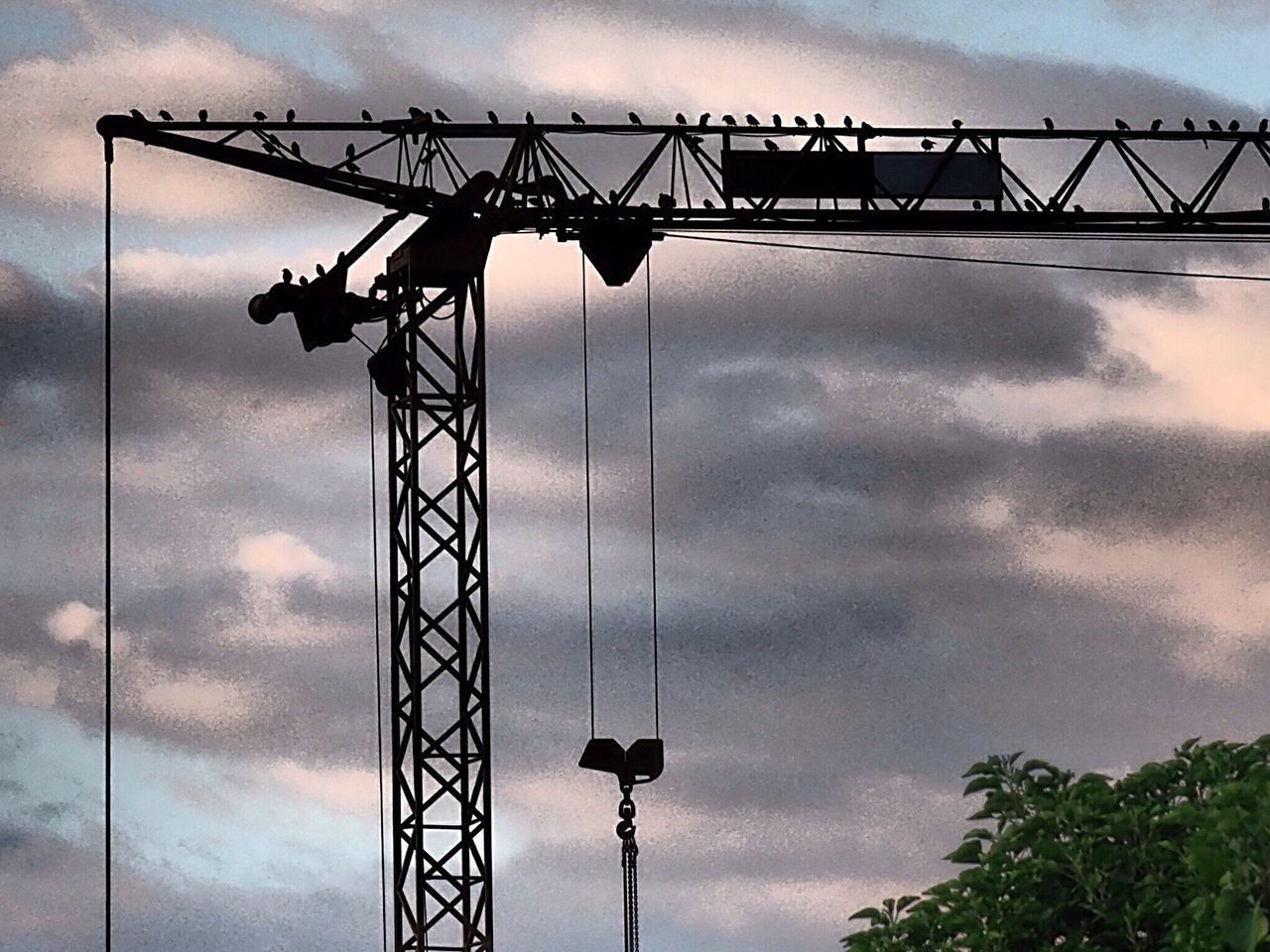 LOW ANGLE VIEW OF CRANES AGAINST SKY