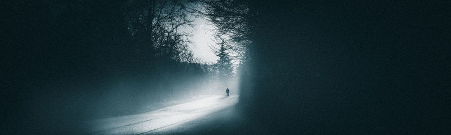 Silhouette trees by road during winter