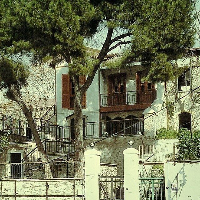 building exterior, architecture, built structure, tree, house, residential building, residential structure, window, growth, building, day, city, outdoors, no people, railing, plant, sunlight, balcony, branch, apartment