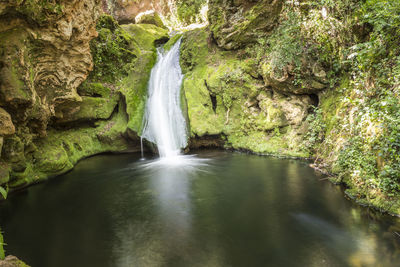 Scenic view of waterfall in forest