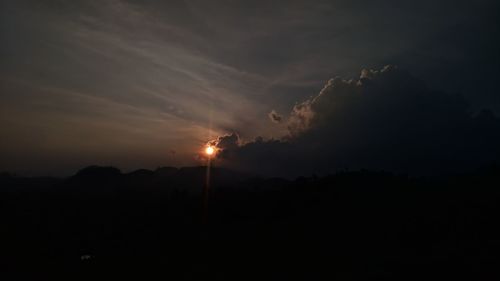 Low angle view of silhouette plants against sky at sunset