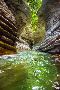 Surface level of water flowing through rocks in forest