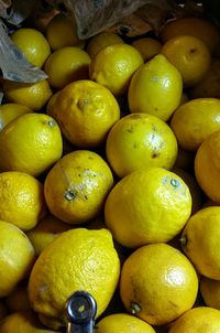 Full frame shot of fruits in market