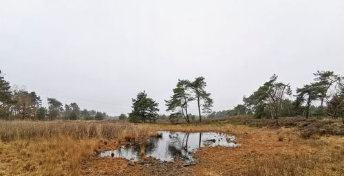 Scenic view of field against clear sky