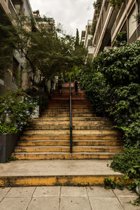 Low angle view of steps amidst trees and building