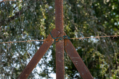 Close-up of rusty metal fence against trees