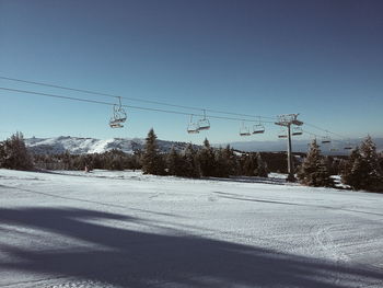 Birds flying over landscape