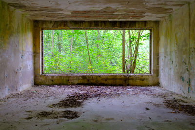 Interior of abandoned building