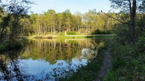 Reflection of trees in lake against sky