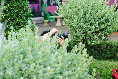 Man photographing by plants