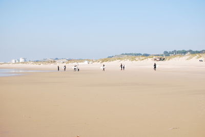 Scenic view of beach against clear sky