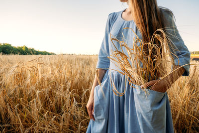 Ukrainian woman in blue linen dress with wheat spikelets on wheat fields. war in ukraine threatens