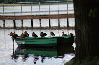 Group of people in boat at lake