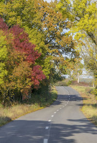 Empty road amidst trees during autumn