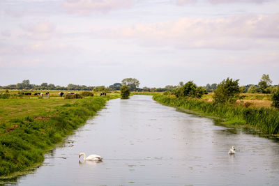 View of river in lake against sky