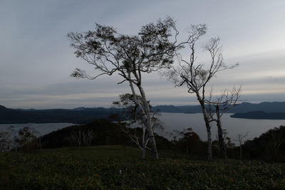 Scenic view of landscape against sky during sunset