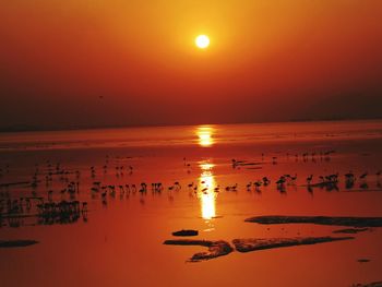 Scenic view of sea against orange sky