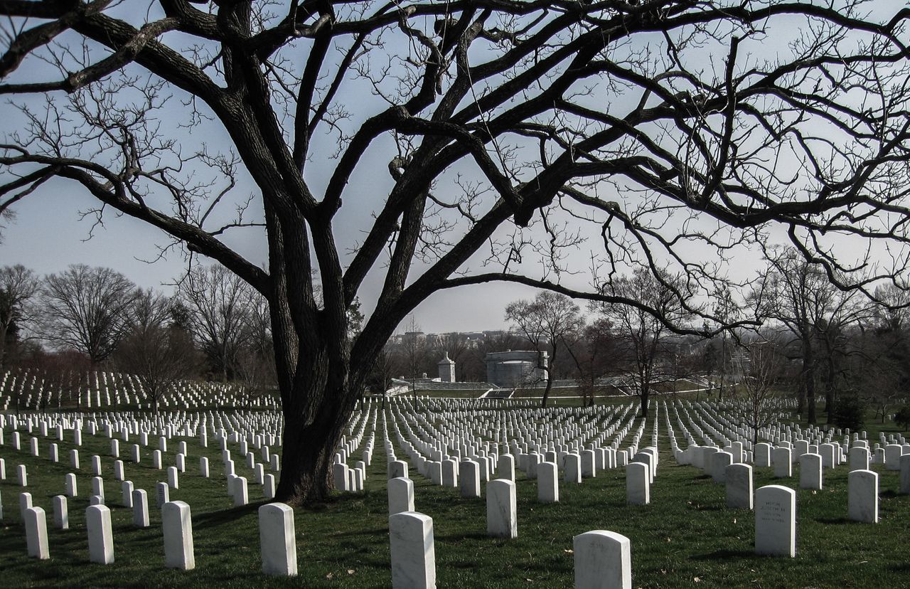 VIEW OF CEMETERY