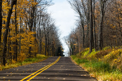 Road amidst trees against sky during autumn