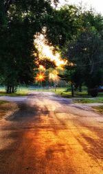 Road amidst trees on landscape