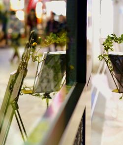 Window display with easels and flowers