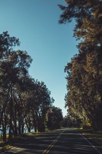 Empty road amidst trees against clear sky