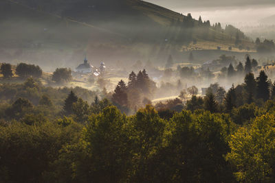 Panoramic view of trees and mountains against sky