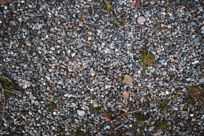 High angle view of stones on field