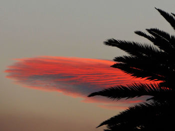 Low angle view of silhouette palm trees against sky at sunset