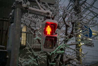 Traffic light under the snow in japan