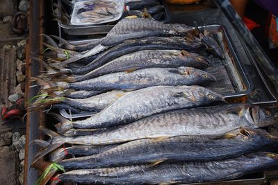 Maeklong railway street fish market bangkok thailand street where train passes daily fresh fish asia