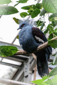 Low angle view of bird perching on a plant