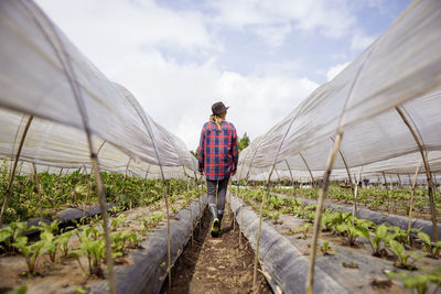Young farmer walking in vegetable farm under sky