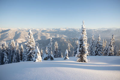 Winter in mountains. an amazing winter scenery with a lot of snow. winter holidays concept