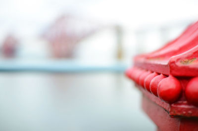 Close-up of red rose