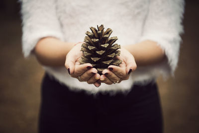 Close-up of hand holding pine cone