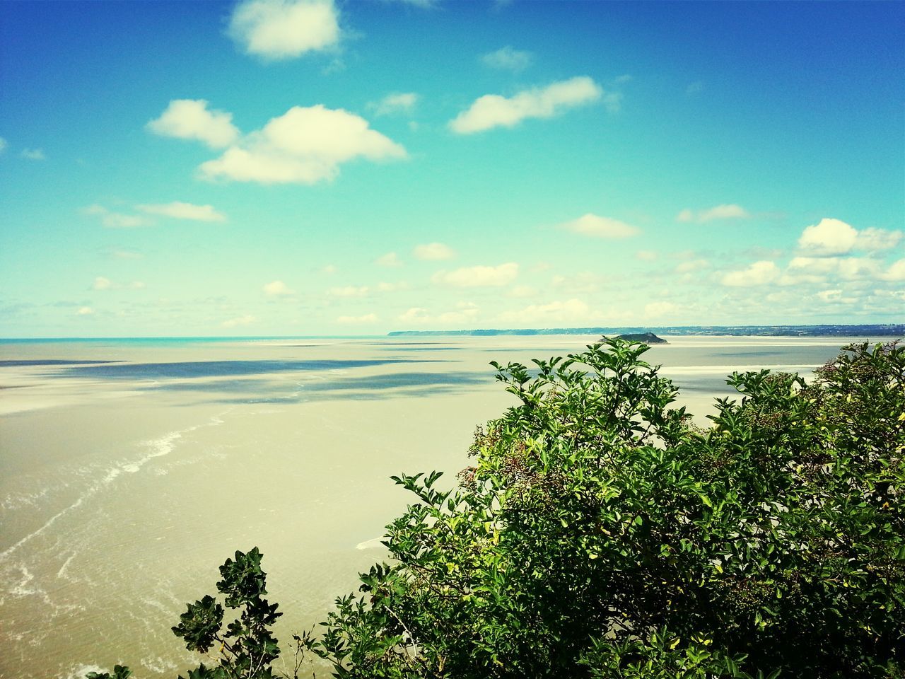 sea, horizon over water, water, beach, tranquil scene, sky, tranquility, beauty in nature, scenics, shore, nature, blue, tree, idyllic, sand, coastline, growth, plant, cloud - sky, cloud