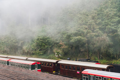 Train on railroad track amidst trees