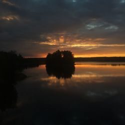 Reflection of trees in calm lake