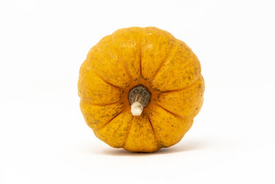 Close-up of pumpkin against white background