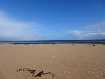 Scenic view of beach against blue sky