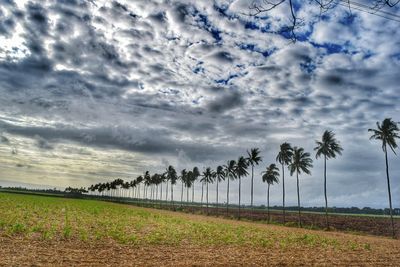 Scenic view of field against cloudy sky