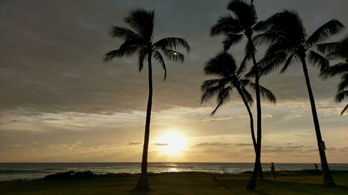 Silhouette palm trees on beach against sky during sunset