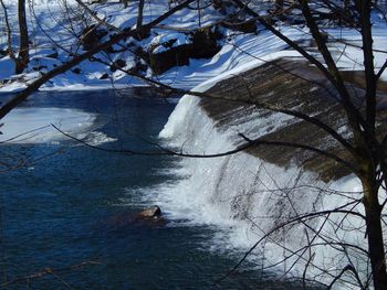 River flowing through bare trees