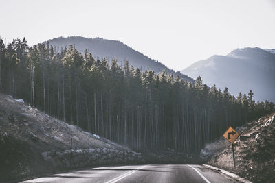 Road amidst trees in forest against sky