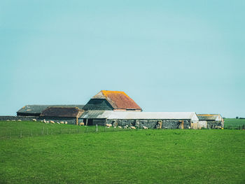 House on field against clear blue sky