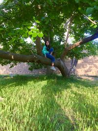 People sitting on field by tree