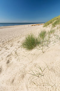 Scenic view of beach against clear sky